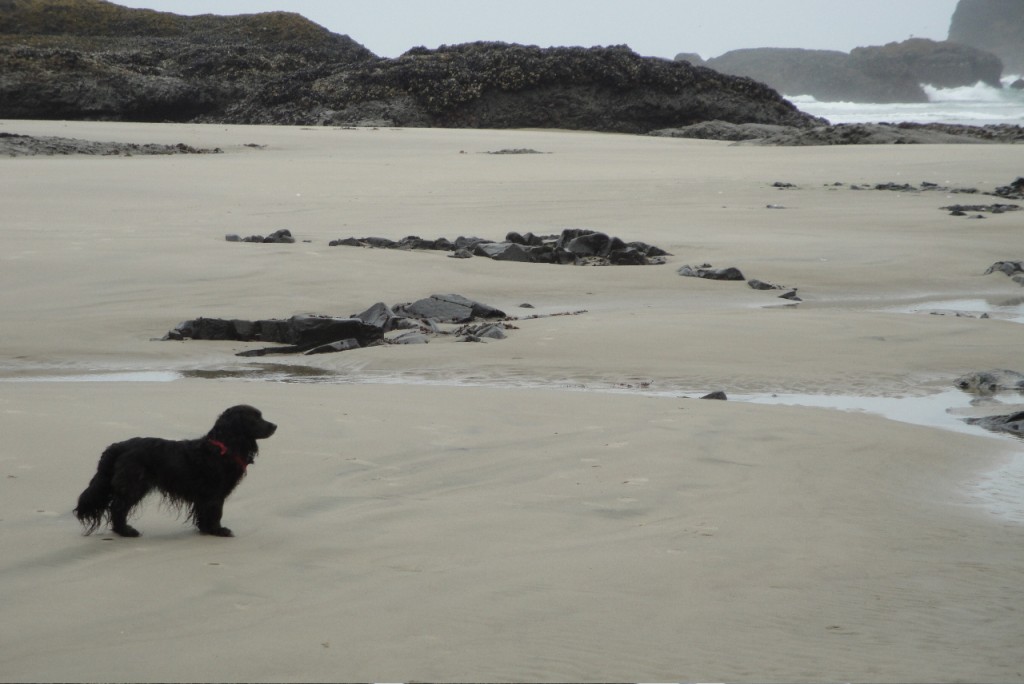 Nellie on the Beach, Just Before the Fire