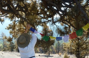 Putting Up Prayer Flags After the Fire